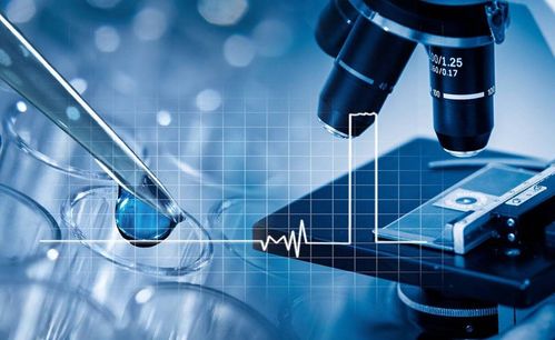 致力美好創(chuàng)造 華絲蘭，一家正在崛起的國(guó)貨新星